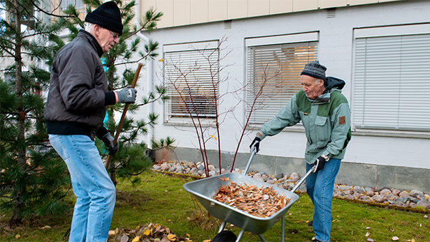 Astafjjord-TV: Søker aktivitetsvenner - 17/11-2014