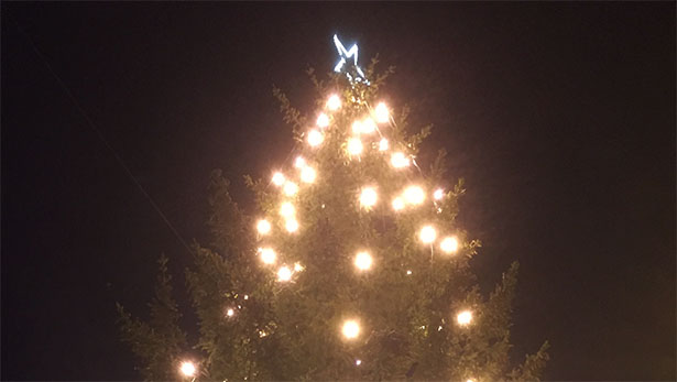 Nyhetsklipp: Juletreet i Sjøvegan ble tent - 28/11-2015 Nyhetsklipp: Juletreet i Sjøvegan ble tent - 28/11-2015