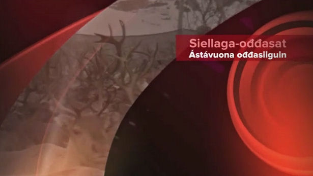 Siellaga-Ođđasat program 3